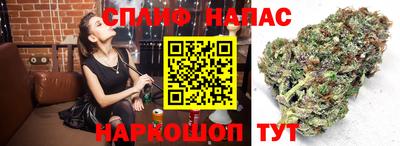 дурь Славгород