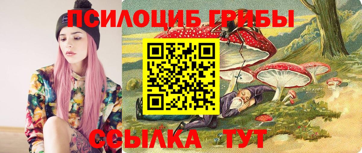 Самара  Галлюциногенные грибы Magic Shrooms  Вход с VPN 